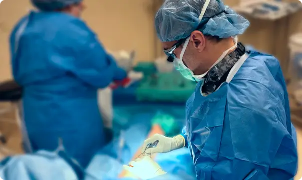 健康・医学 Vascular Surgery Surgical and Endovascul Endovascular and Vascular Surgery Center | Maimonides